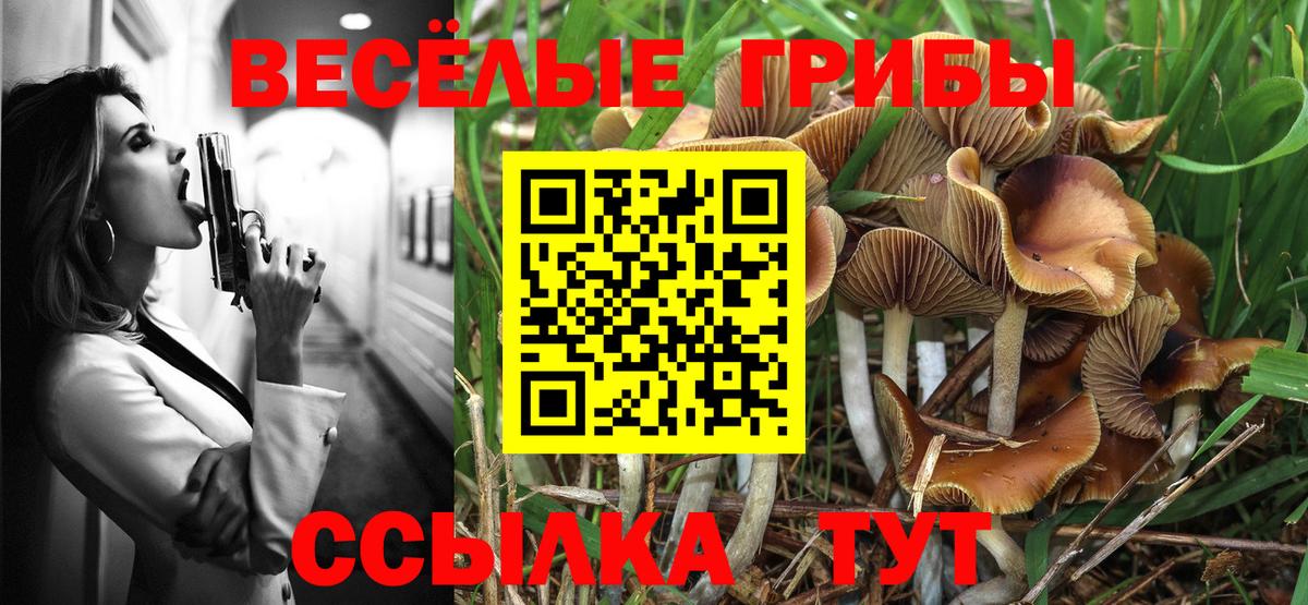 Галлюциногенные грибы прущие грибы Кизилюрт