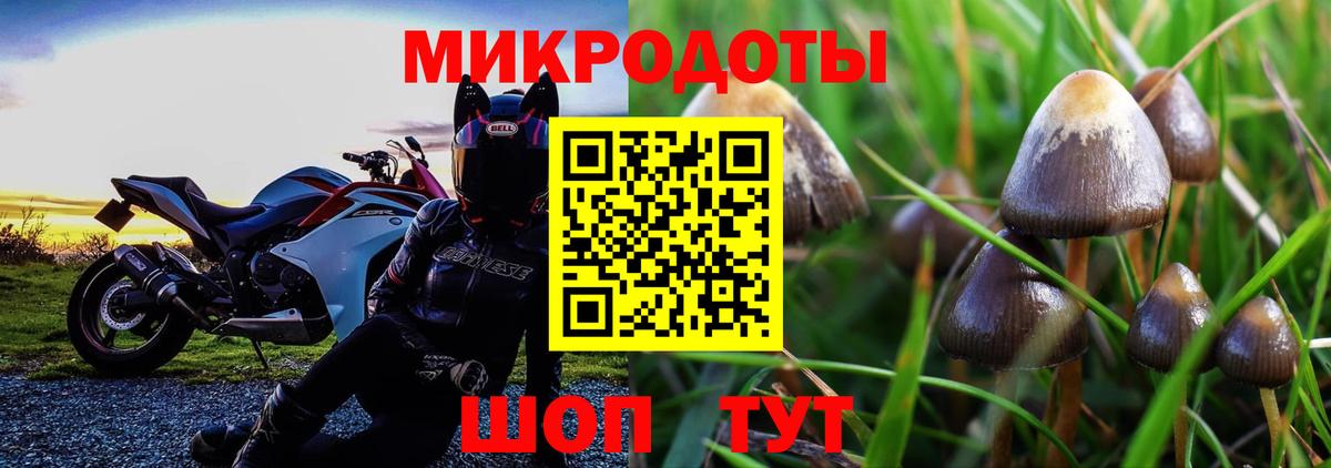 Псилоцибиновые грибы GOLDEN TEACHER  Псилоцибиновые грибы Psilocybine cubensis  Вход с VPN  Кизилюрт 